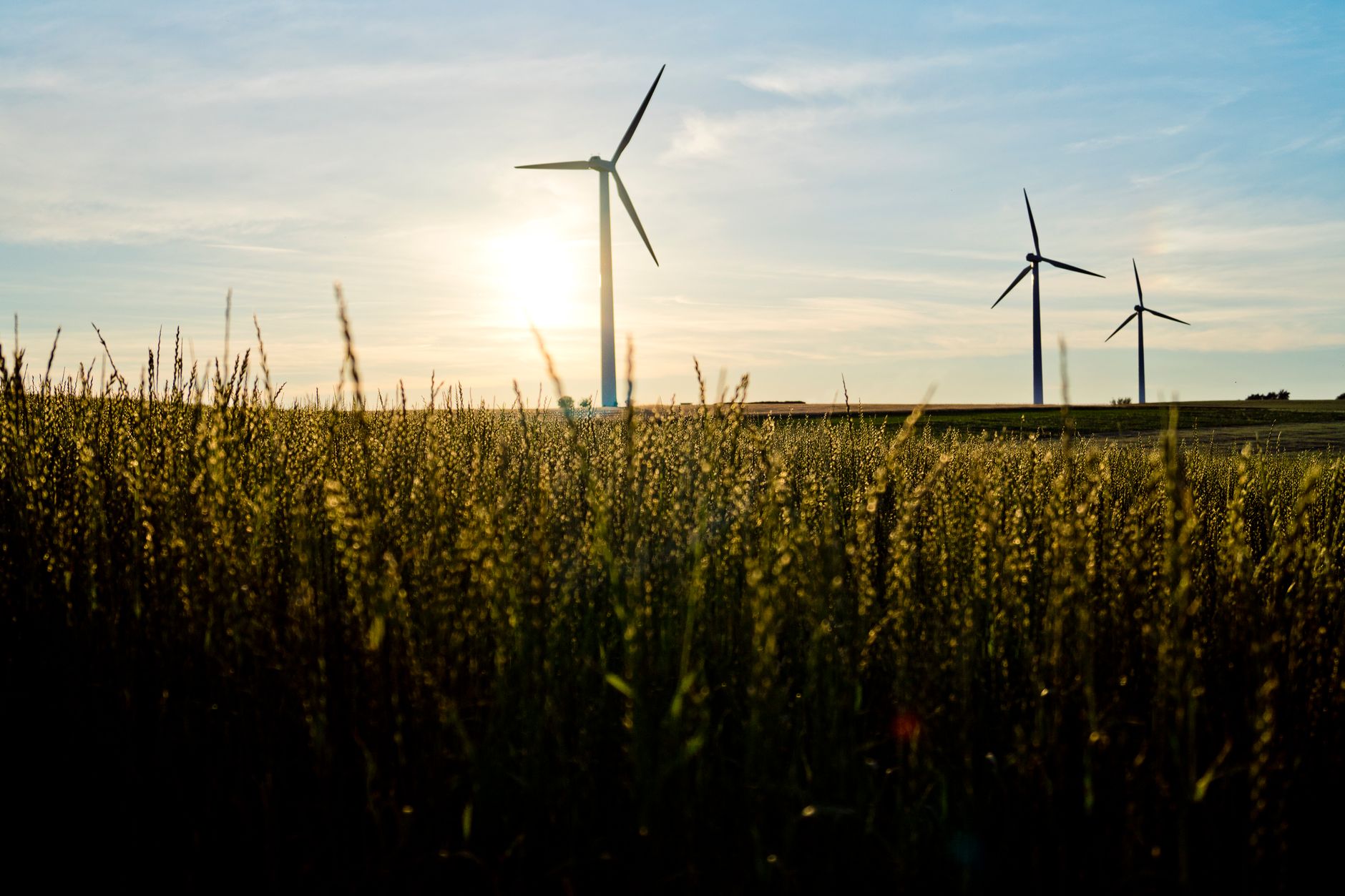 Why Brookfield Renewable Corp stock is tanking today
