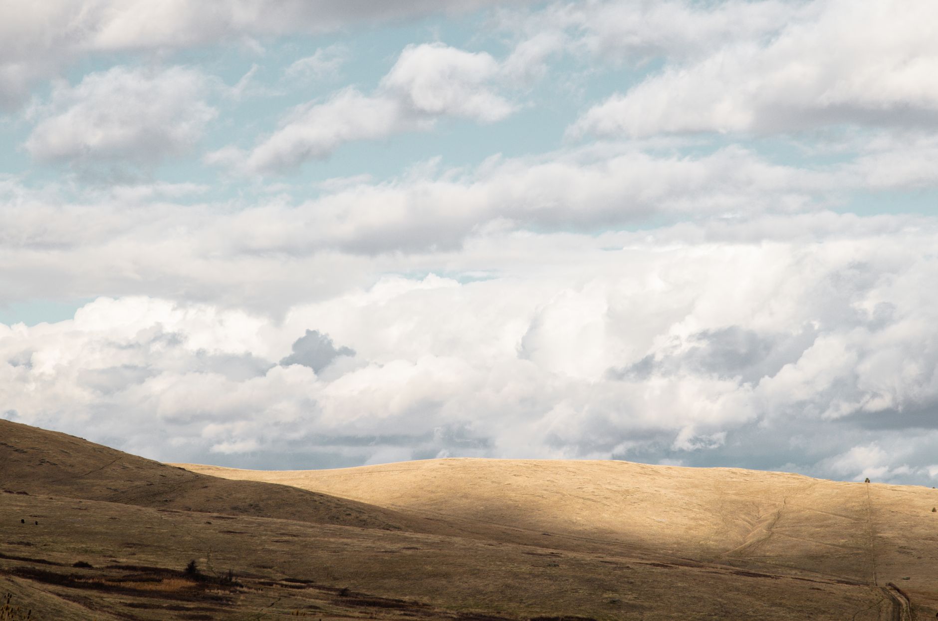 What's Going On With Rev Exploration Corp. Stock Thursday?