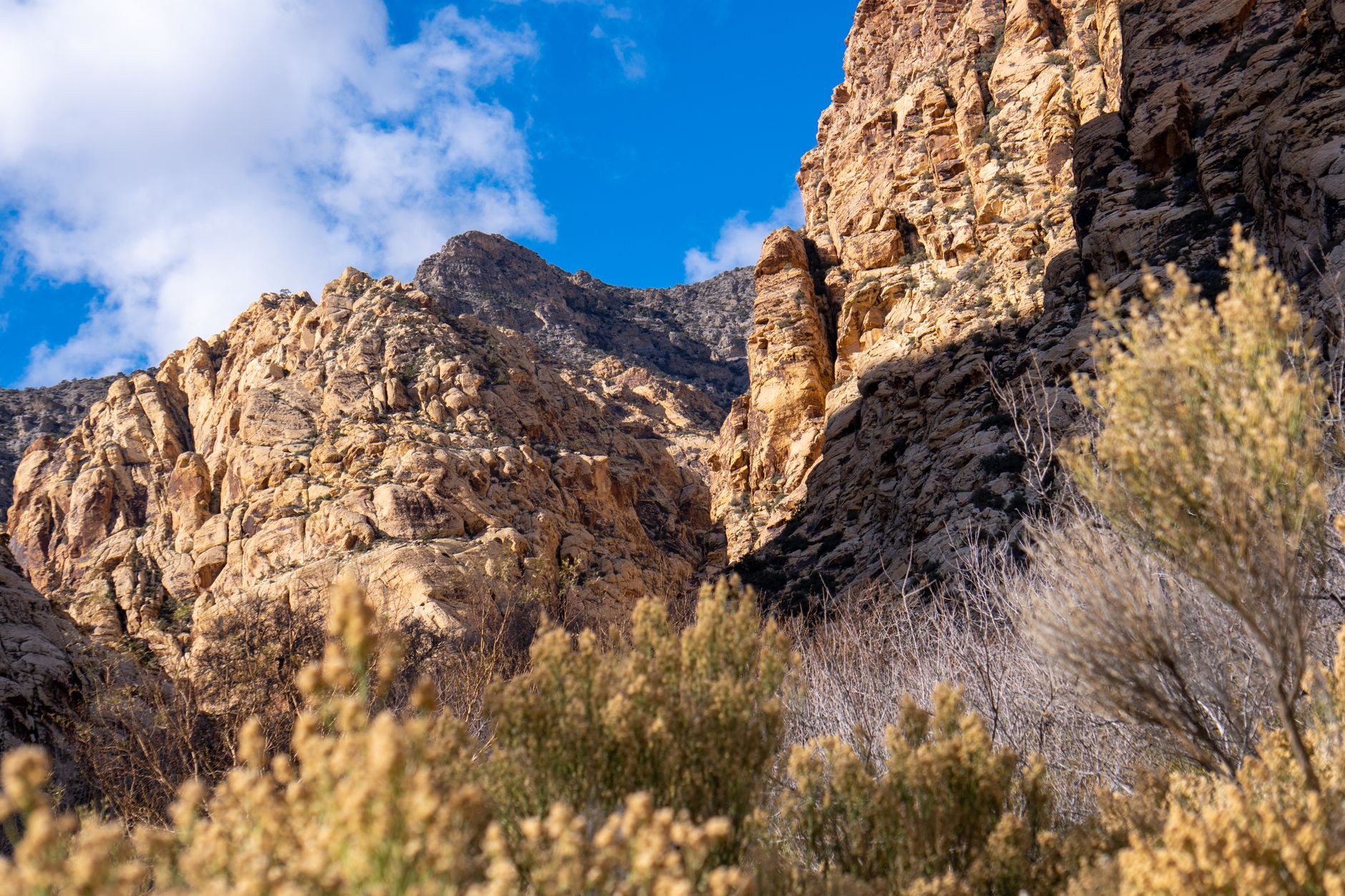 Why Smooth Rock Ventures Corp stock plummeted yesterday