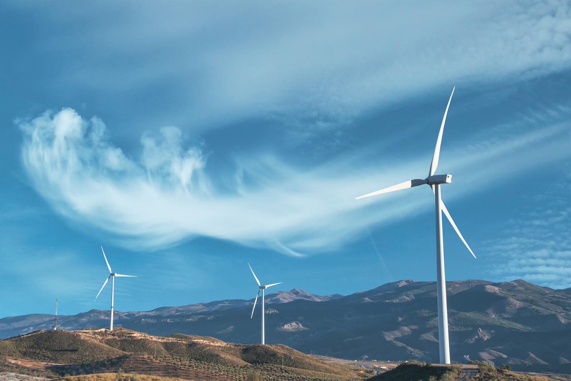 Tamarack Valley Energy Rises: Is the Surge Sustainable?
