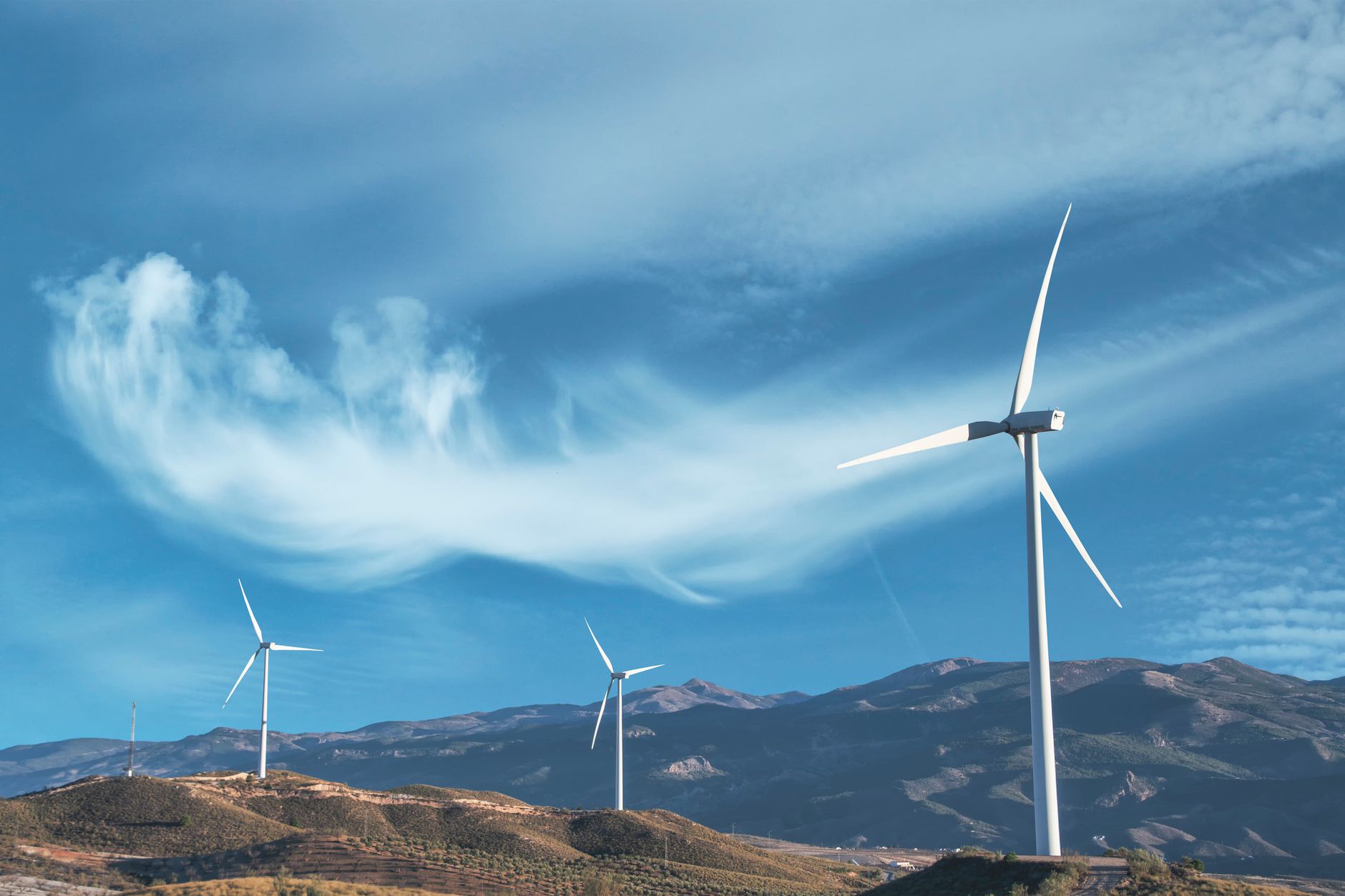 Why Enterprise Group Inc stock is gaining today