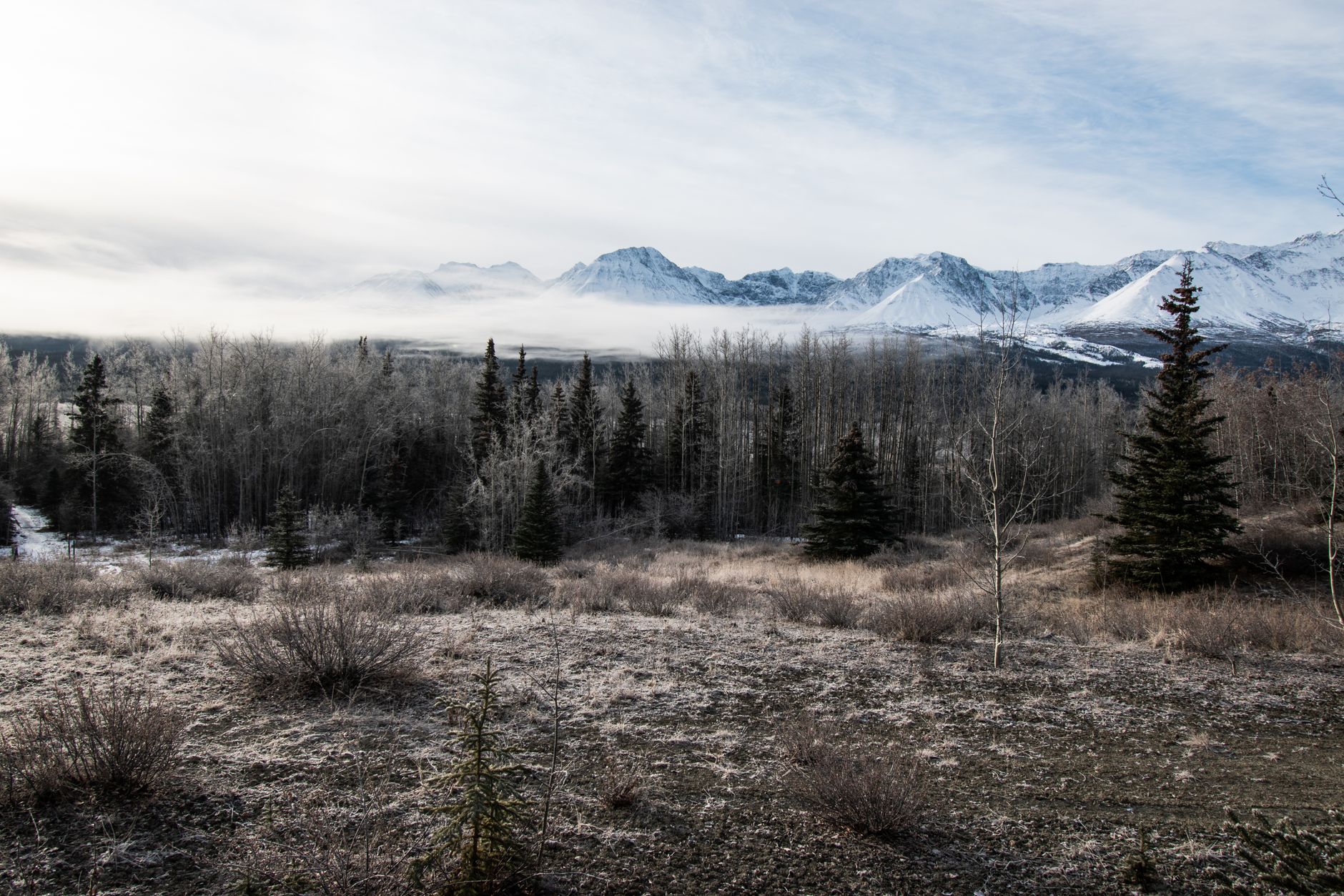 Why White Pine Resources Inc. stock is plummeting today