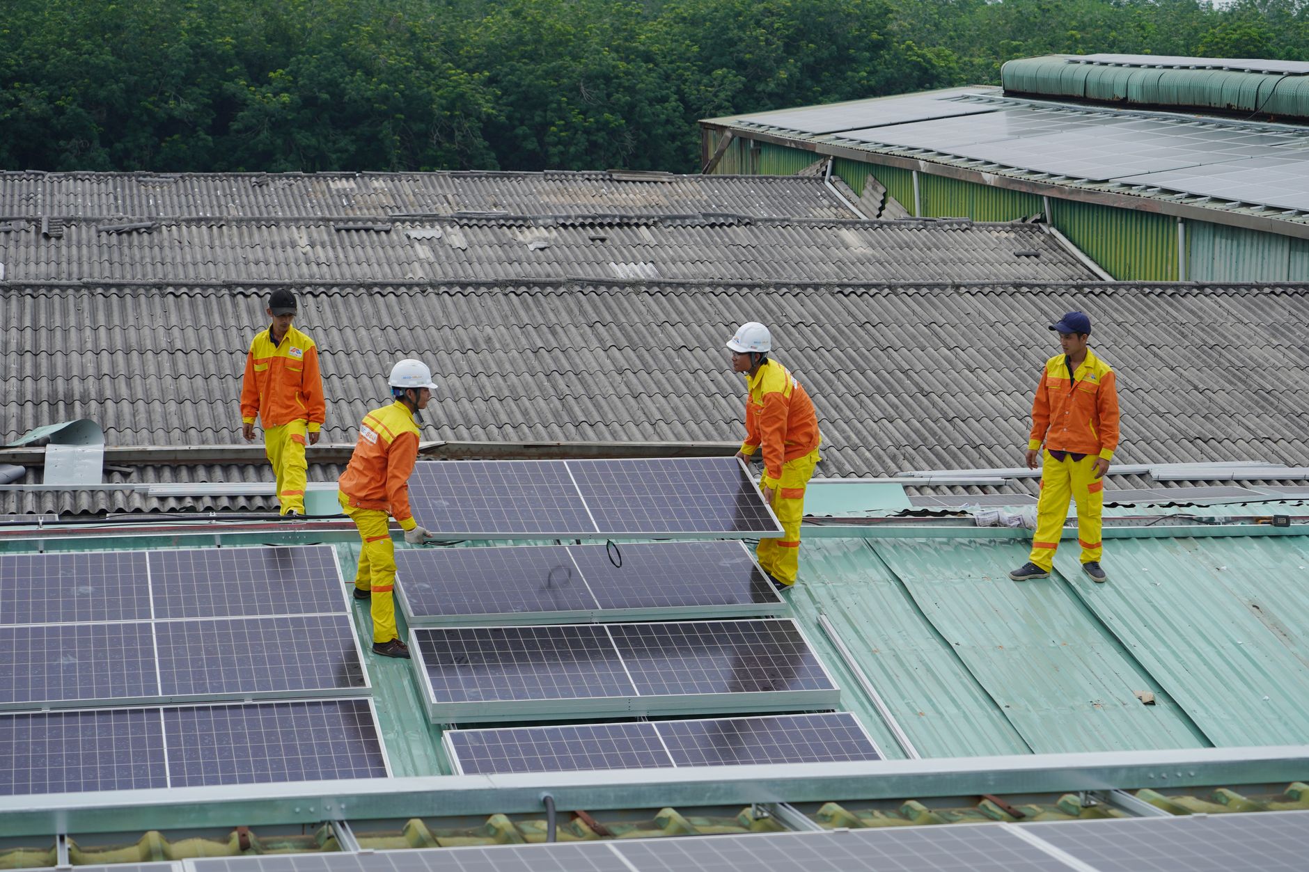 Why Greenlane Renewables Inc stock is sliding today