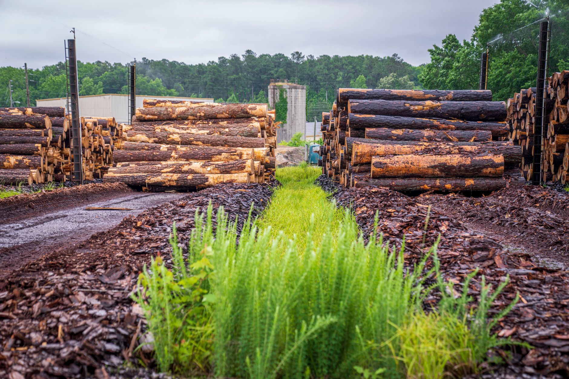 Will West Fraser Timber Co Ltd (WFG) Beat Earnings Estimates in Its Next Report?