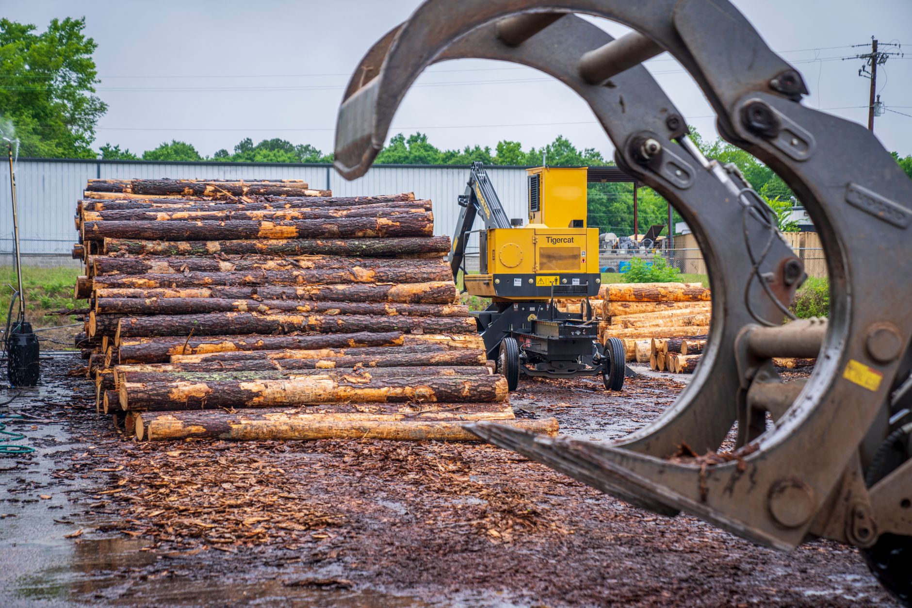 Why Western Forest Products Inc stock is sliding today