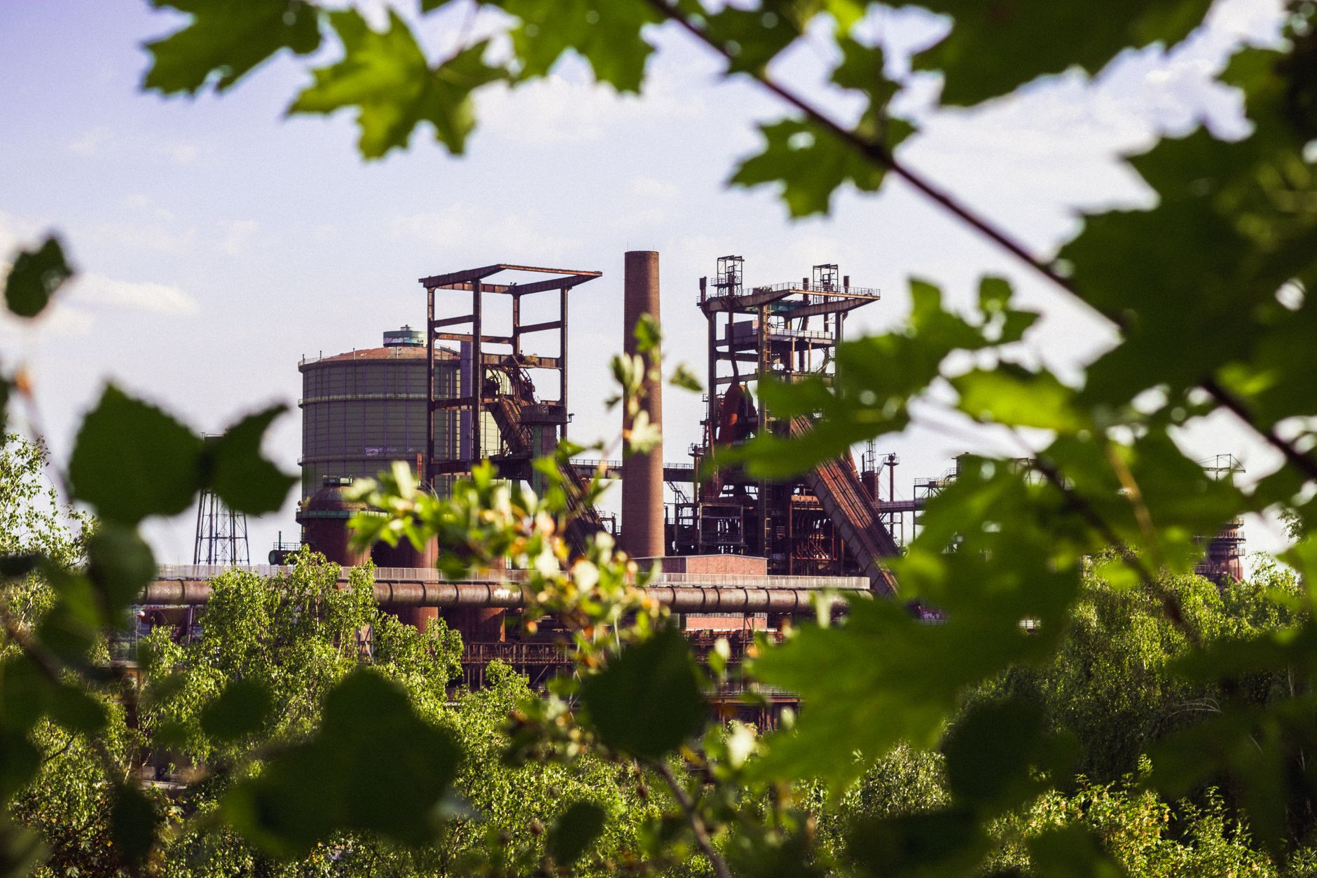 Why CLEANTEK Industries Inc stock is plummeting today