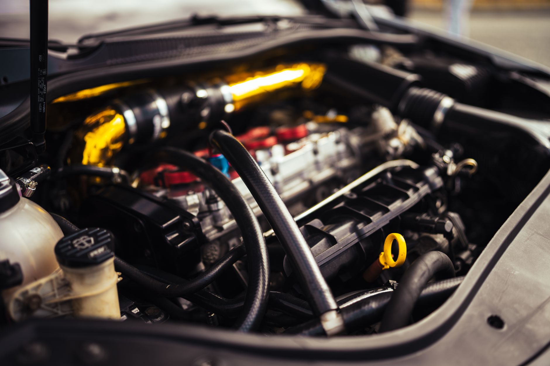 What's Going On With Westport Fuel Systems Inc Stock Friday?