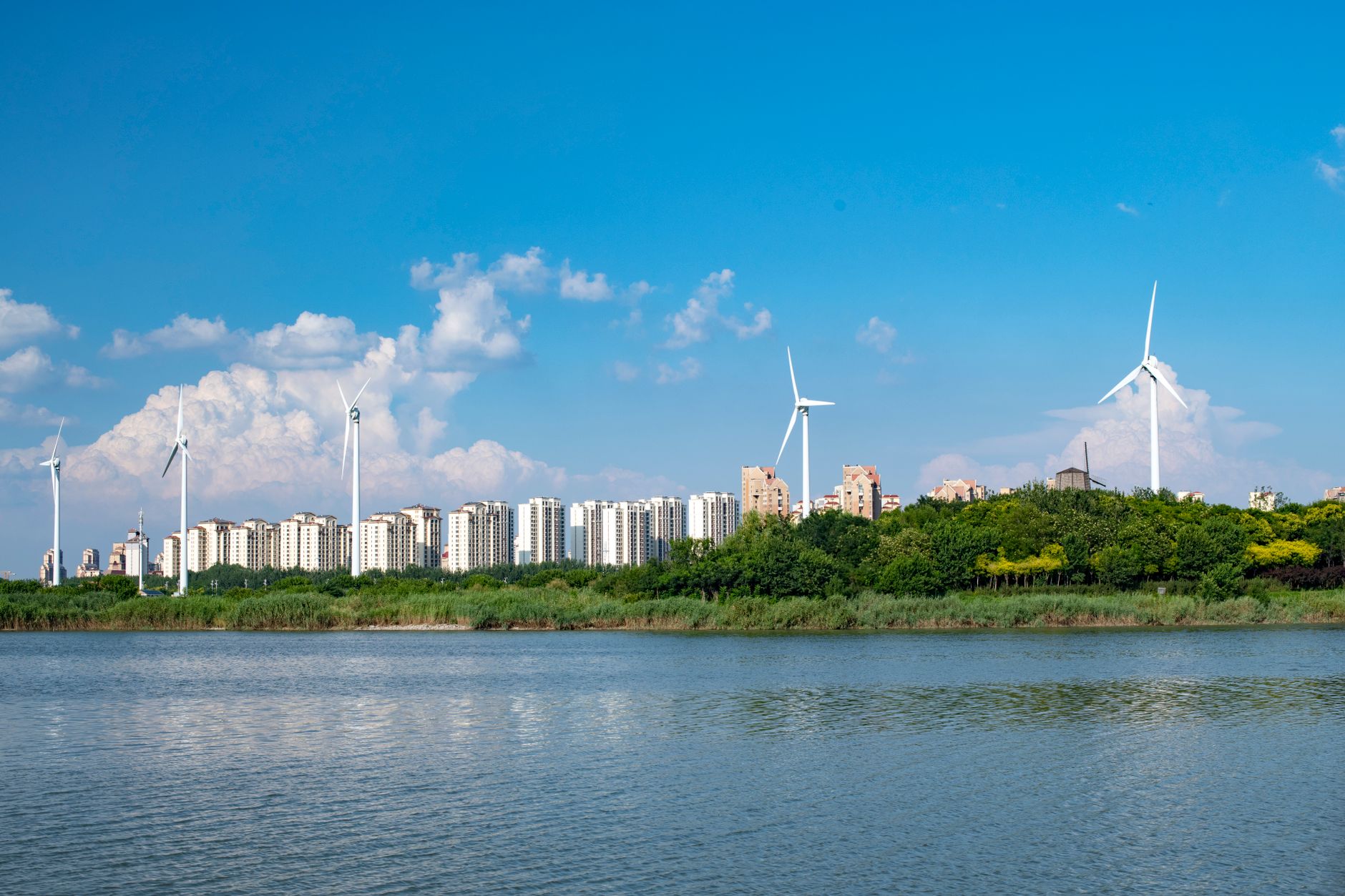 What's Going On With Clean Energy Transition Inc. Stock Thursday?