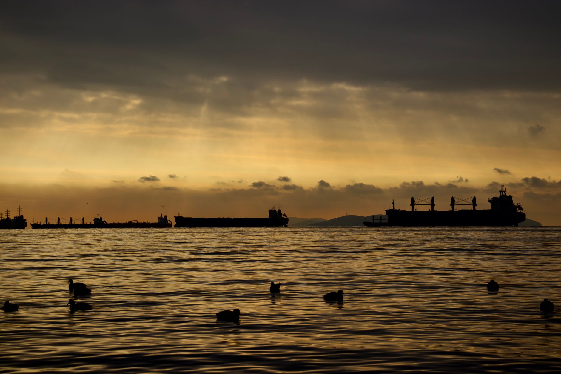 Why Algoma Central Corporation stock is gaining today