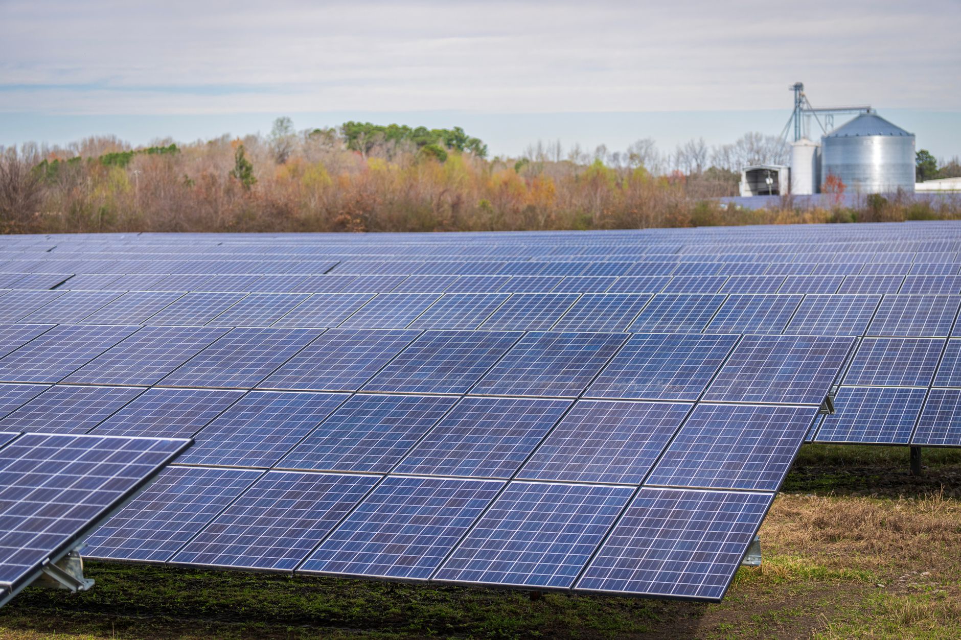 Why Tidewater Renewables Ltd stock gained yesterday