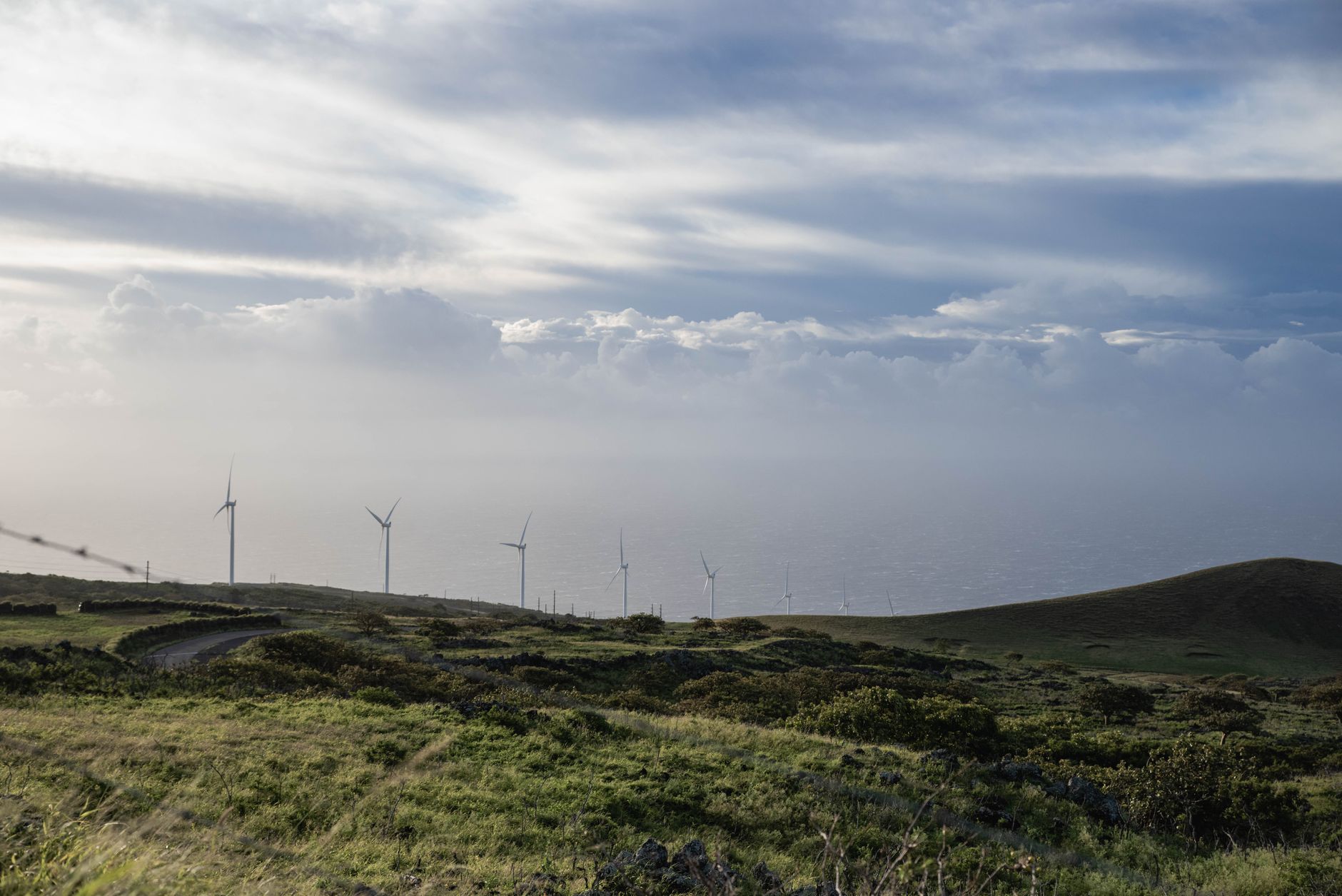 Why Ostrom Climate Solutions Inc stock surged yesterday