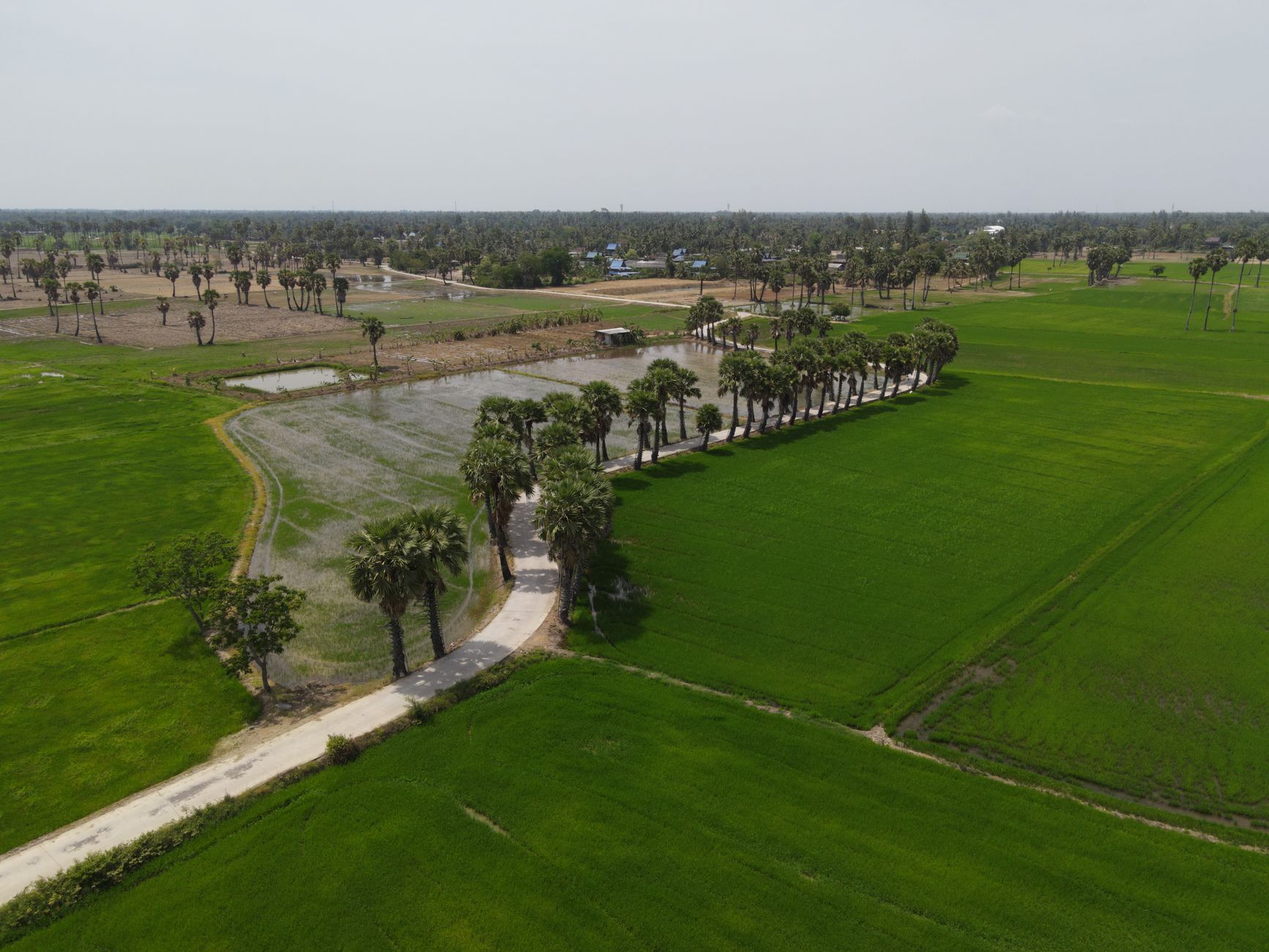 Why Verde Agritech PLC stock is rising today