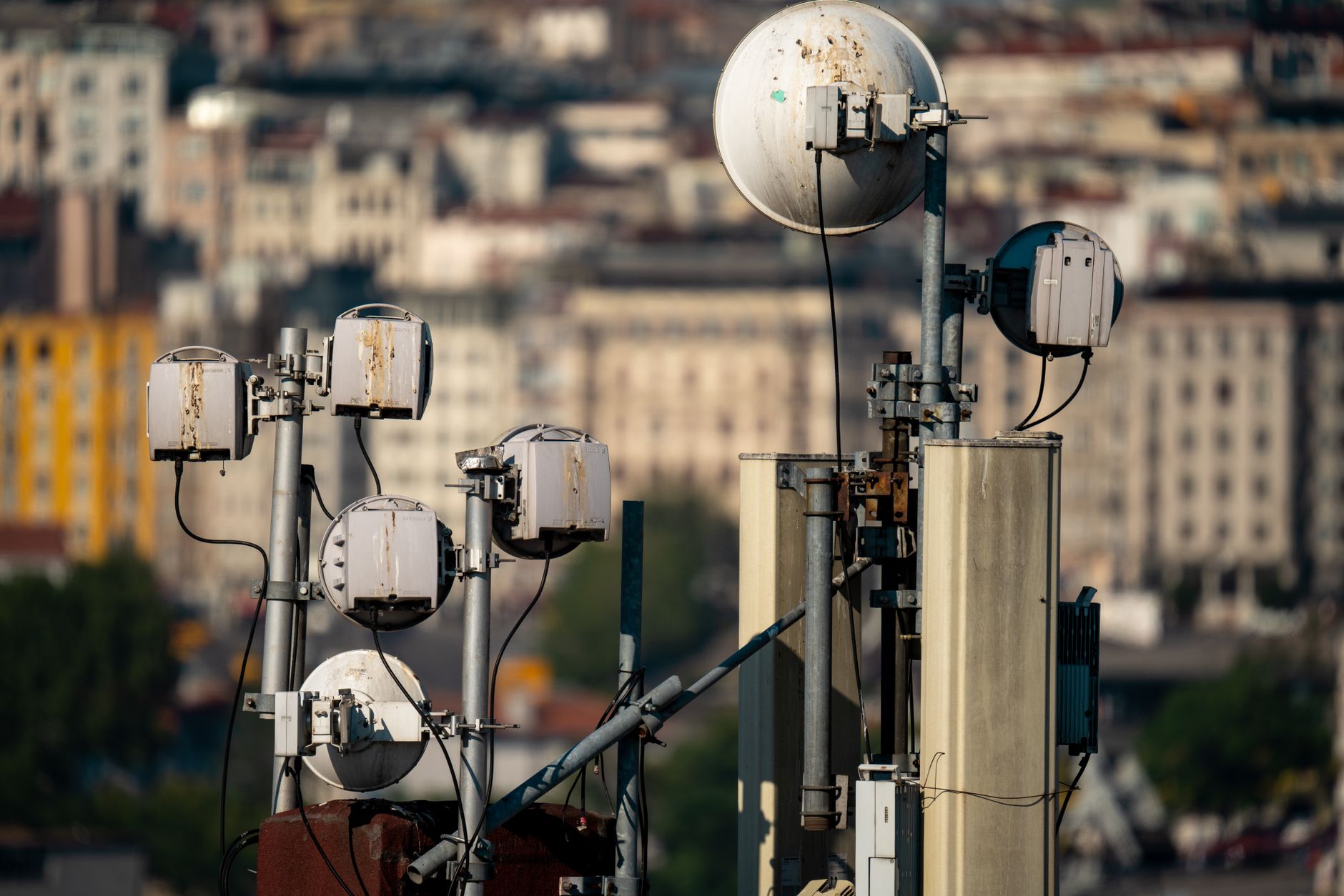 Why Advent Wireless Inc stock is skyrocketing today