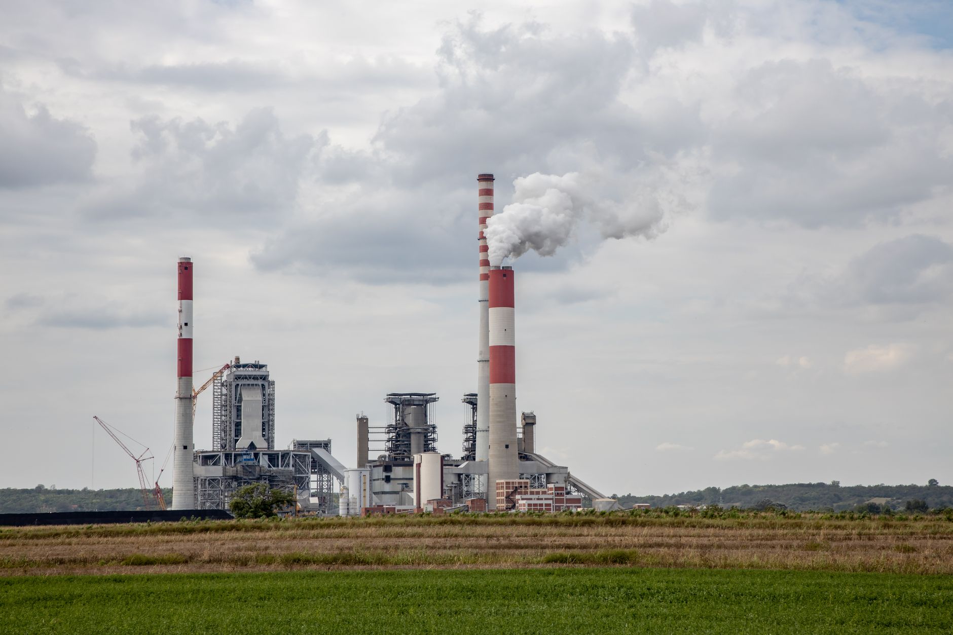 Why Clean Air Metals Inc stock plummeted yesterday