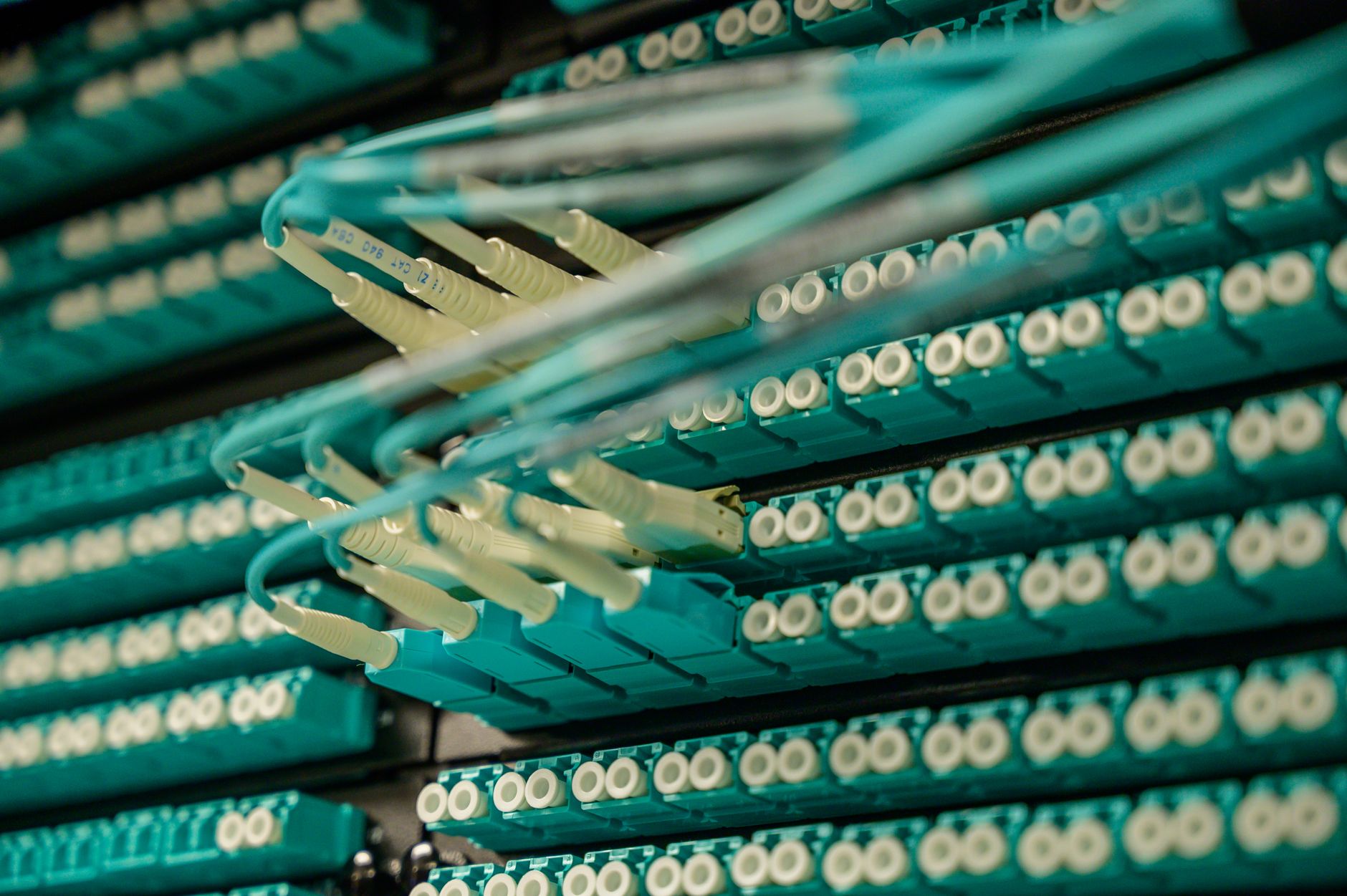 Credo Starts New Optical Connectivity Standards Group: What Investors Should Know