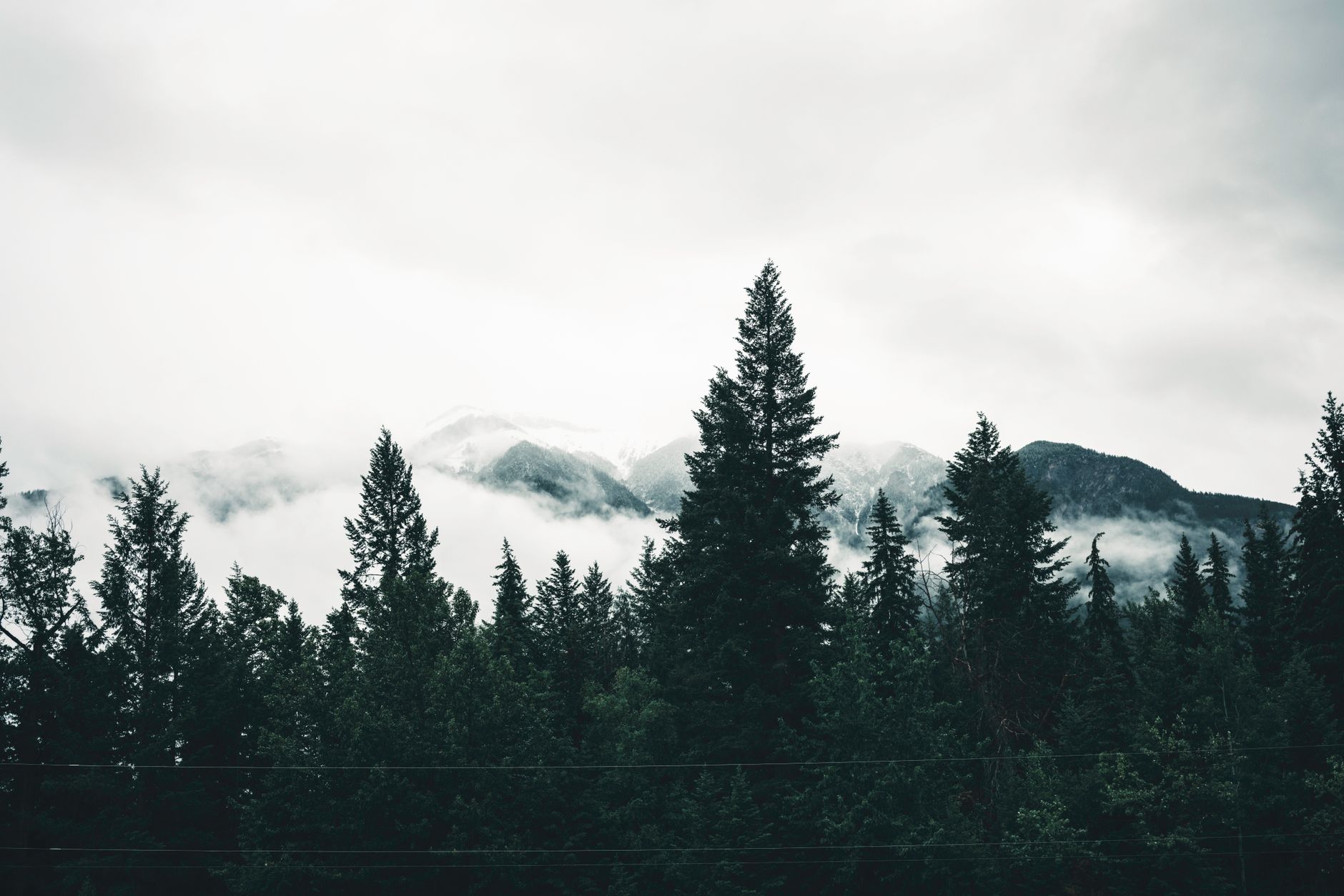 Why Western Forest Products Inc stock is rising today