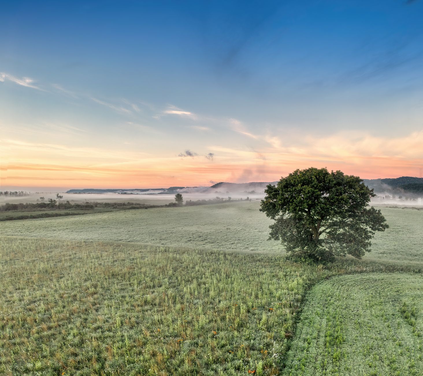 Mondelez International (MDLZ) Backs Canadian Farmers Through Area One Farms Fund V
