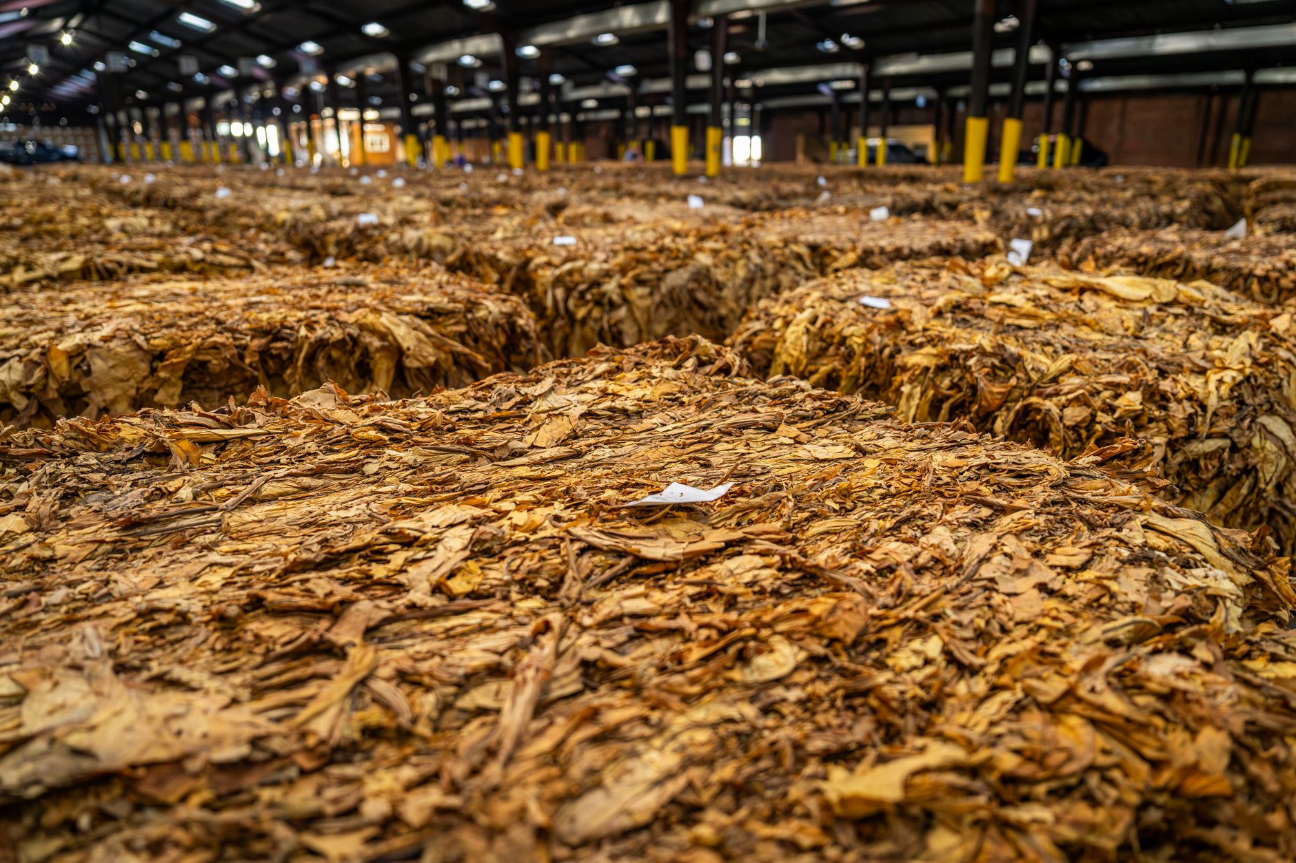 Why Century Global Commodities Corp stock is skyrocketing today