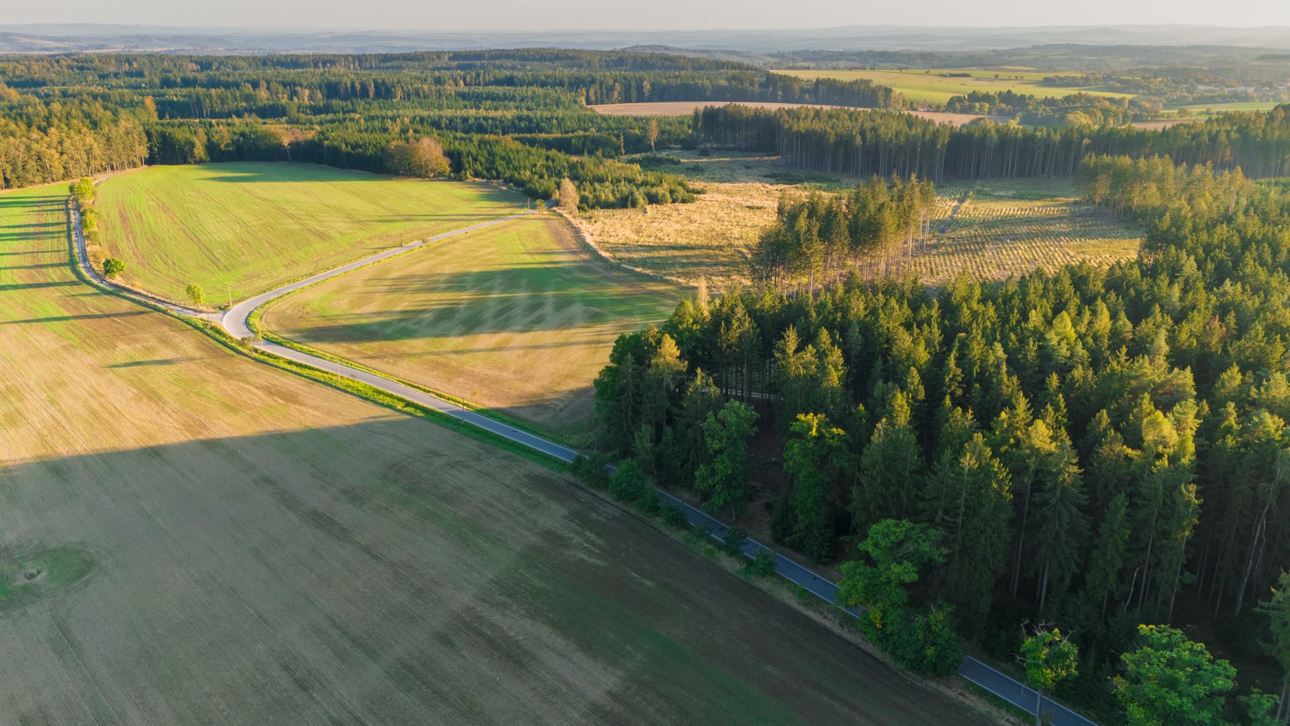 Why Cascades Inc. stock is tanking today