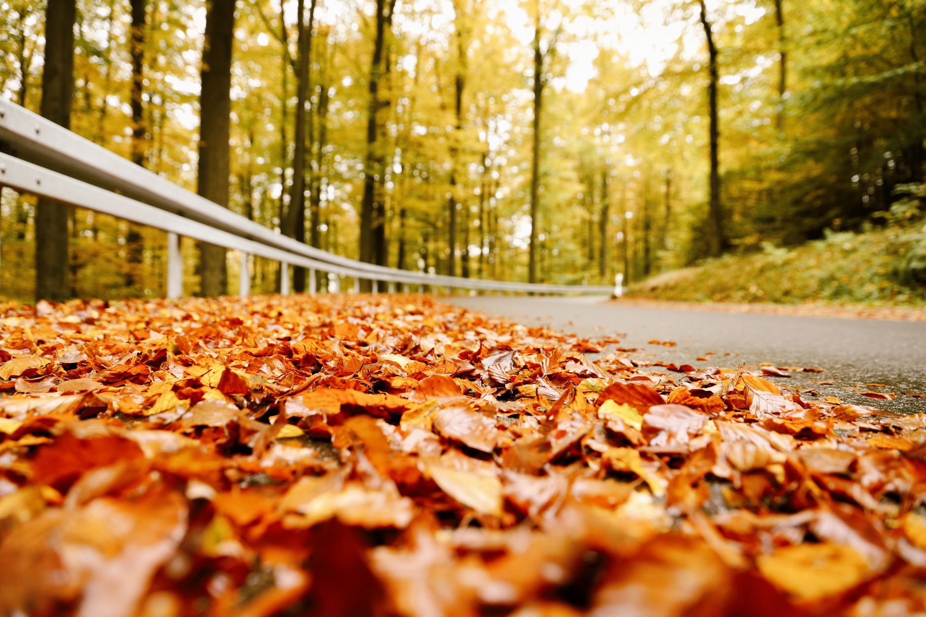 Airbnb's Alex Bender Breaks Down the Fall Travel Trends Defining the Season