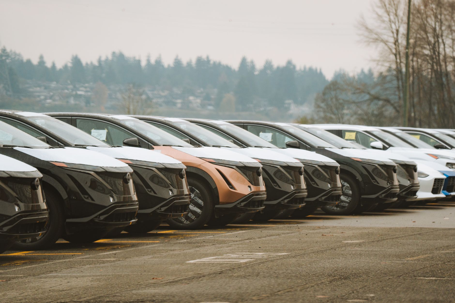 What's Going On With Autocanada Inc Stock Monday?
