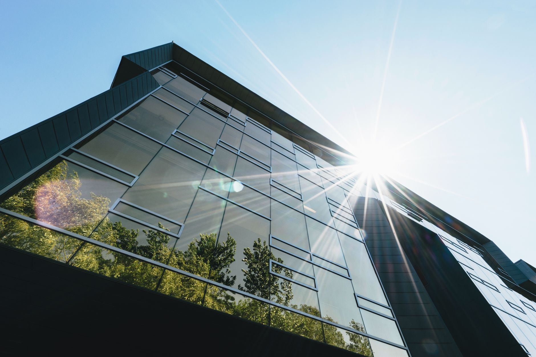 Why Vertex Resource Group Ltd stock is skyrocketing today
