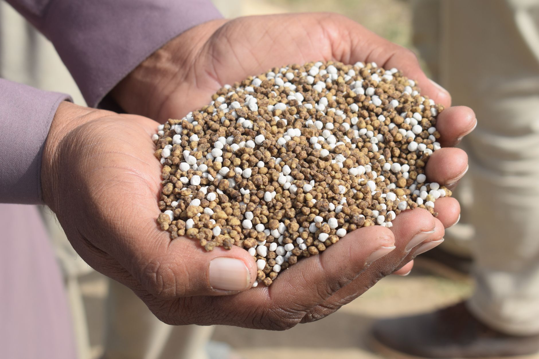 Why Nutrien Ltd stock is rising today