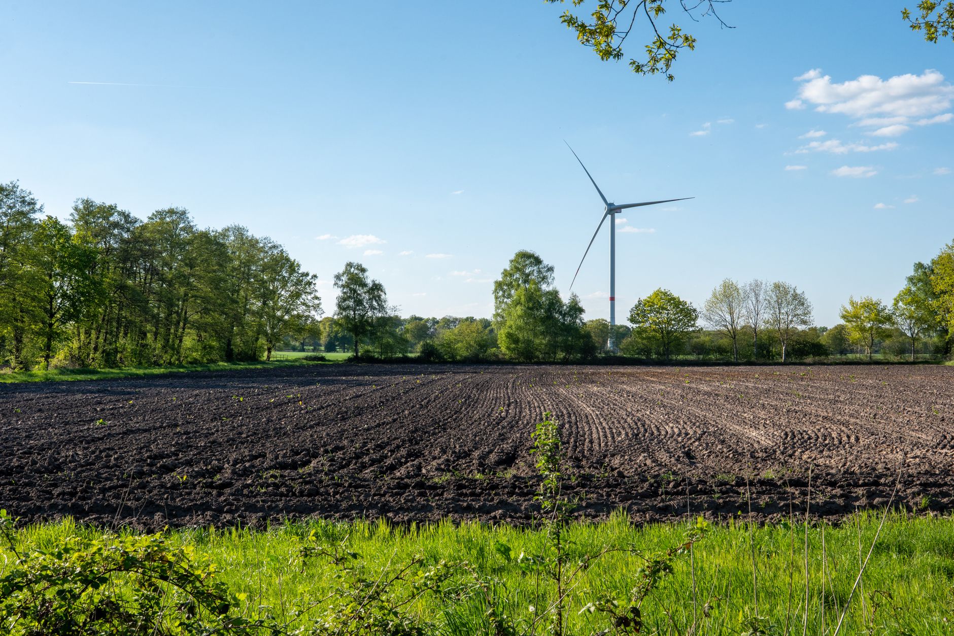 Why Tidewater Renewables Ltd stock is skyrocketing today