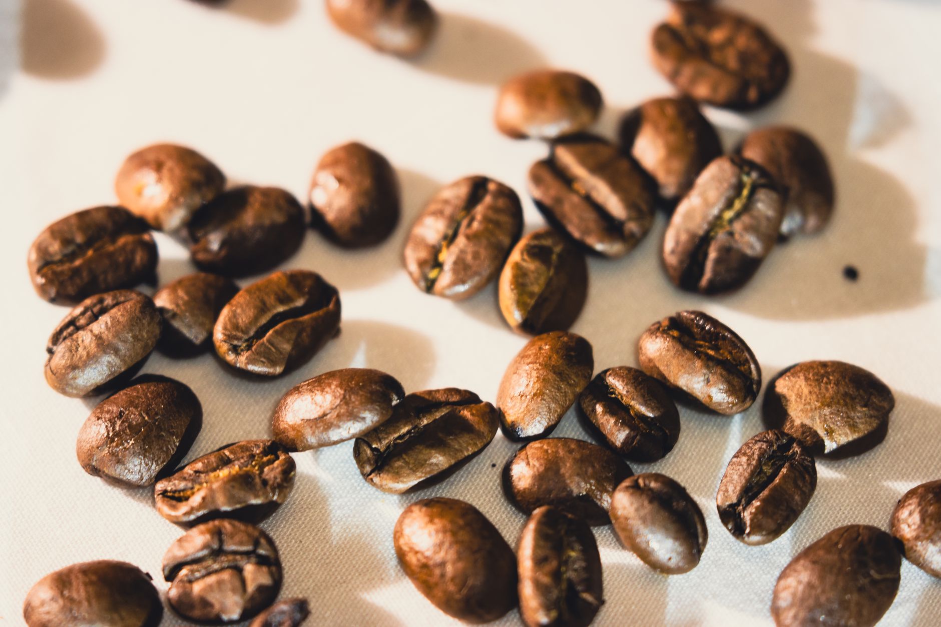 Why Swiss Water Decaffeinated Coffee Inc stock is skyrocketing today