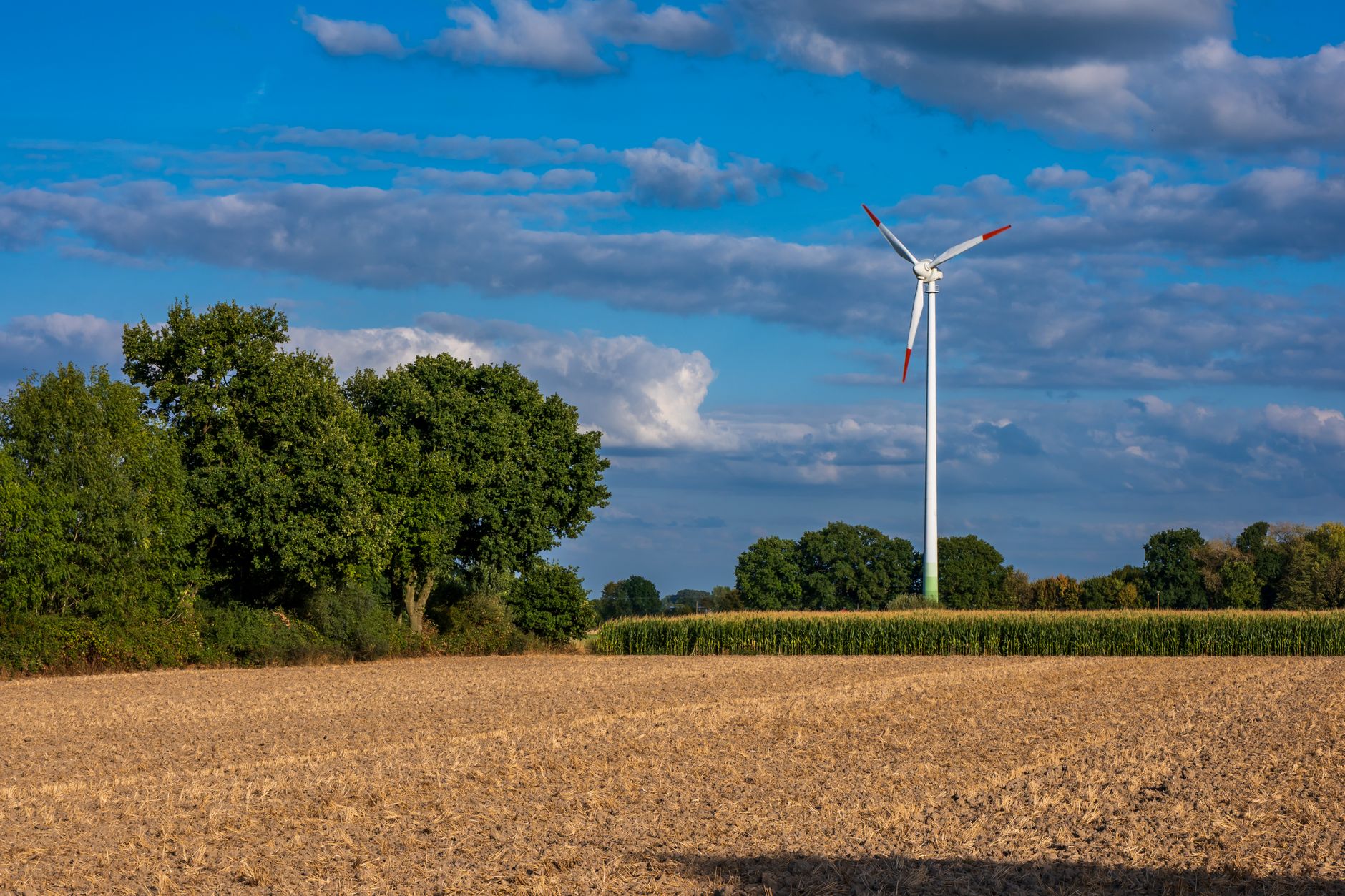 Why Tidewater Renewables Ltd stock is sliding today