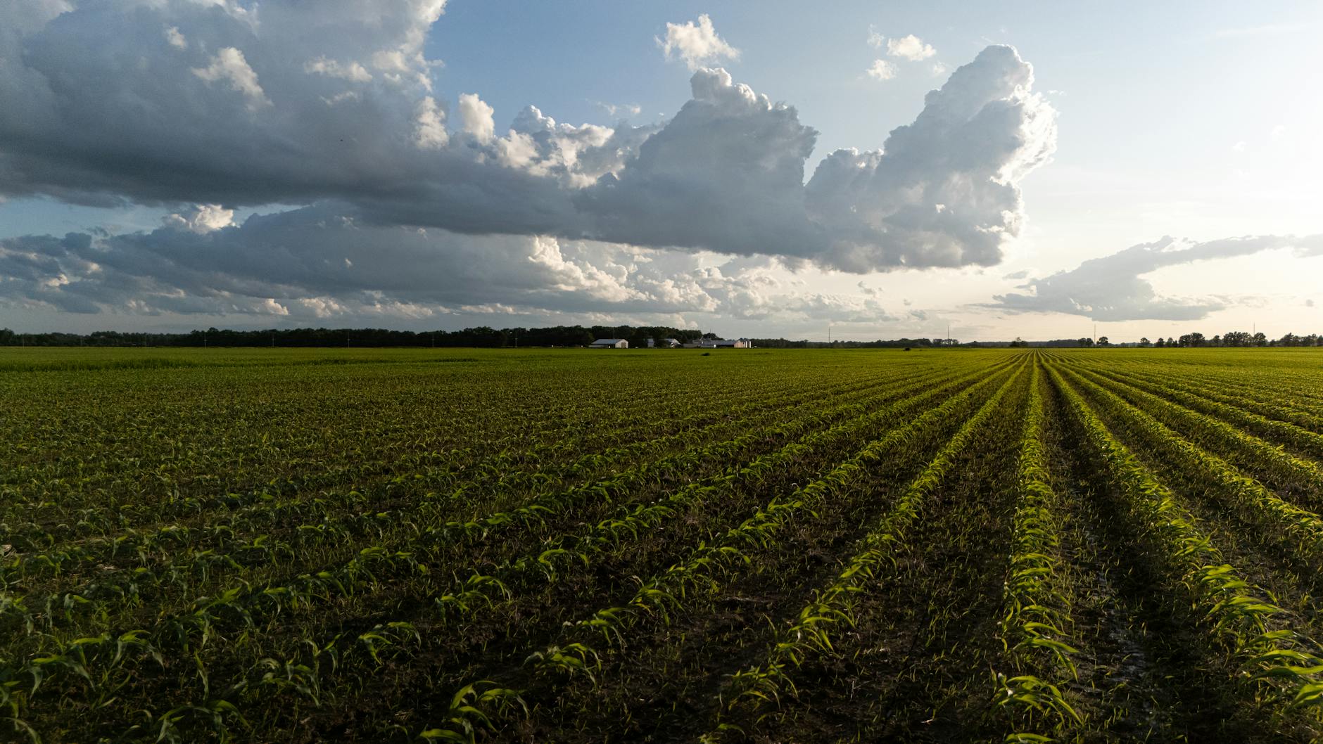 Nutrien Ltd Gains 3.5% in Last Session as Fertilizer Demand Rises