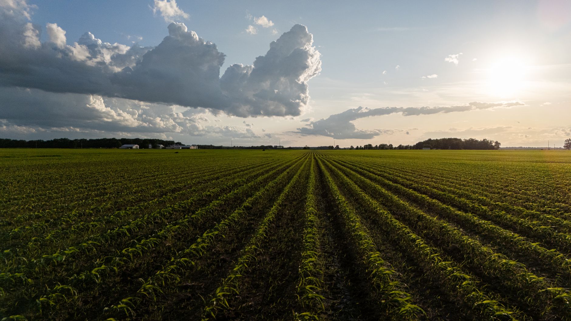 Why Verde Agritech PLC stock is rising today