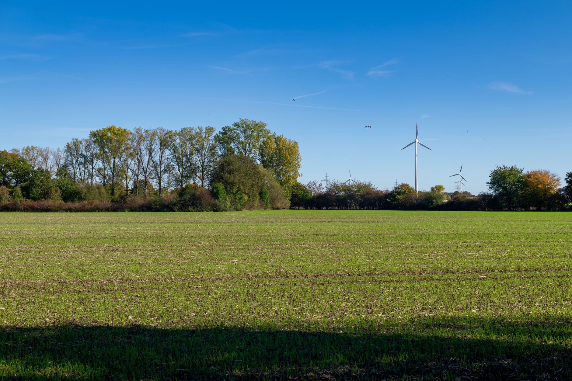 What's Going On With Algonquin Power & Utilities Corp Stock Monday?