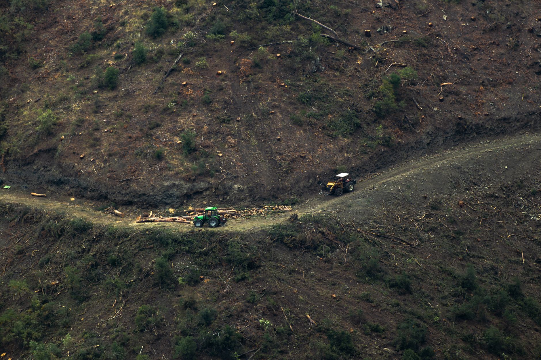 Will Acadian Timber Corp (ADN) Beat Estimates Again in Its Next Earnings Report?