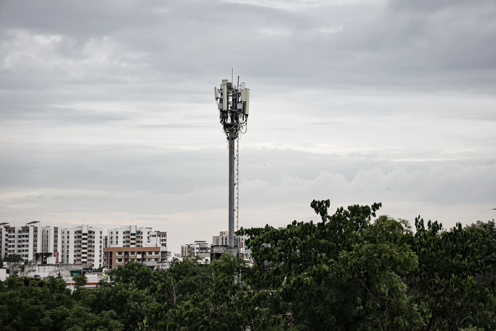 Why Total Telcom Inc stock is sliding today
