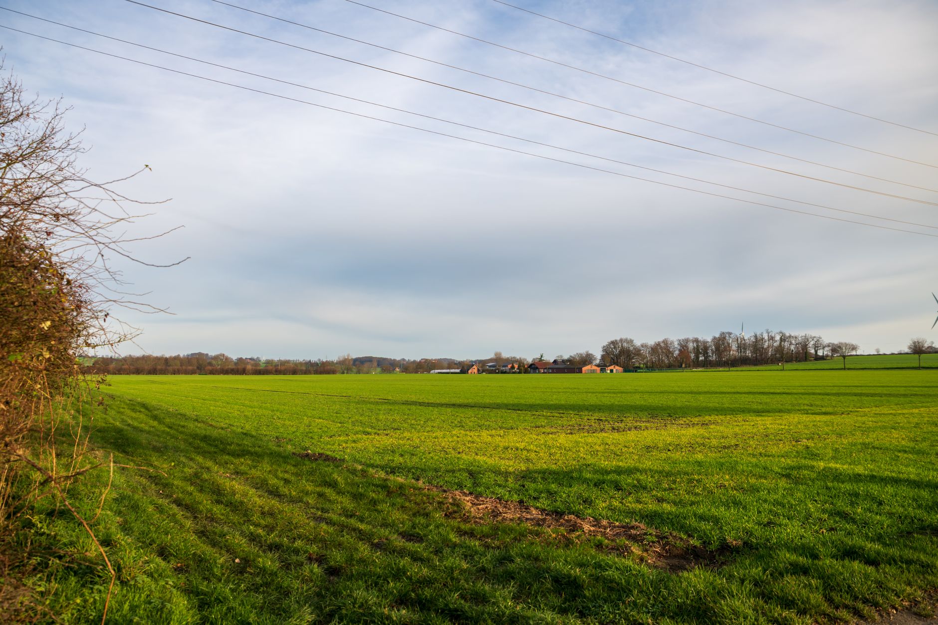 Why Verde Agritech PLC stock went up yesterday