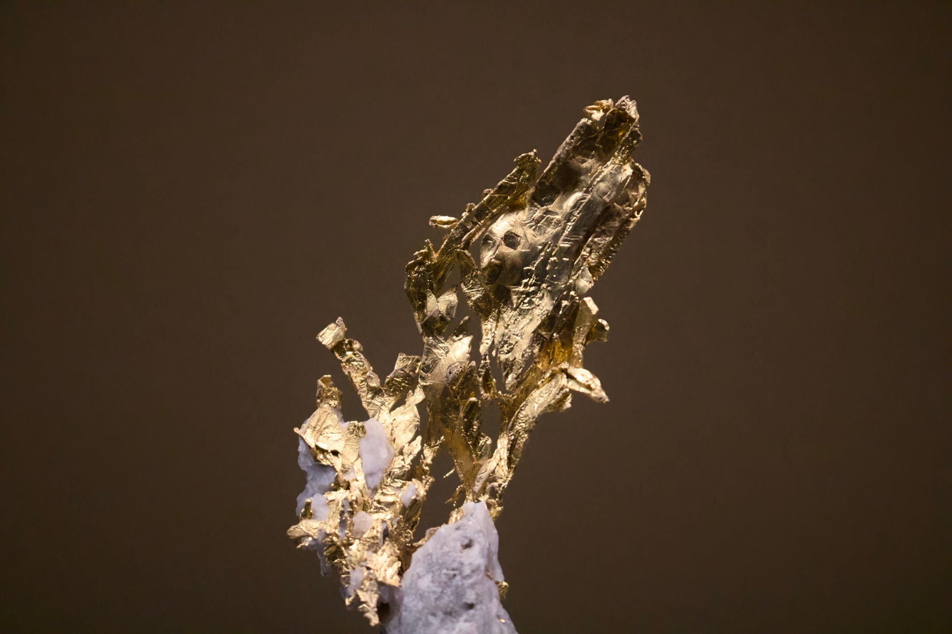 Snowline Gold Corp. (SGD.TO) Soars 23% Over the Last Month — What’s Driving the Surge?