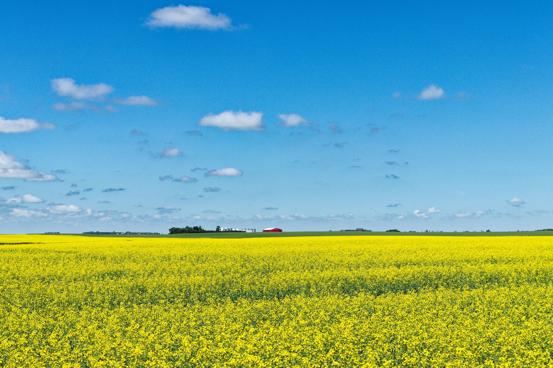 Whitecap Resources Inc. (WCP.TO) Gains Momentum With 7% Weekly Surge