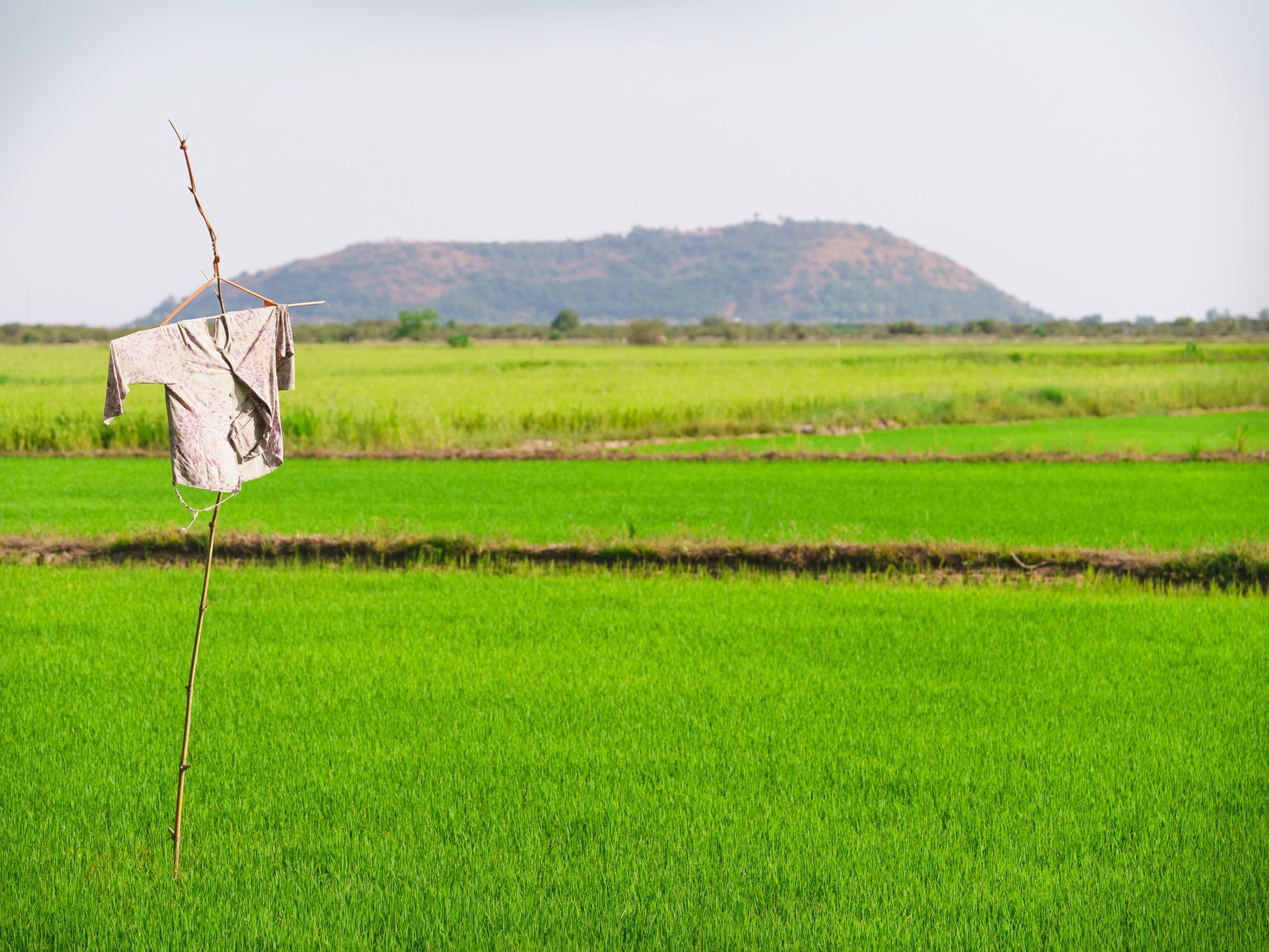 Why Angkor Resources Corp stock is rising today