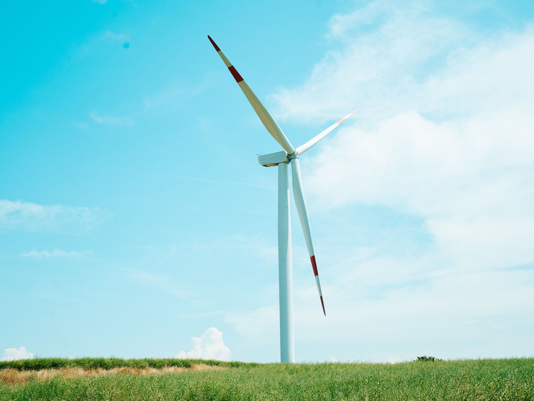 Why RZOLV Technologies Inc. stock surged yesterday
