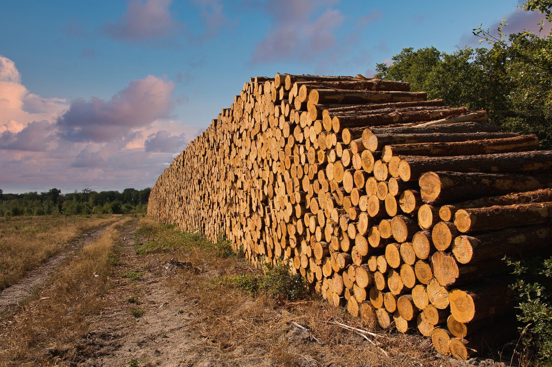 What's Going On With EcoSynthetix Inc Stock Tuesday?