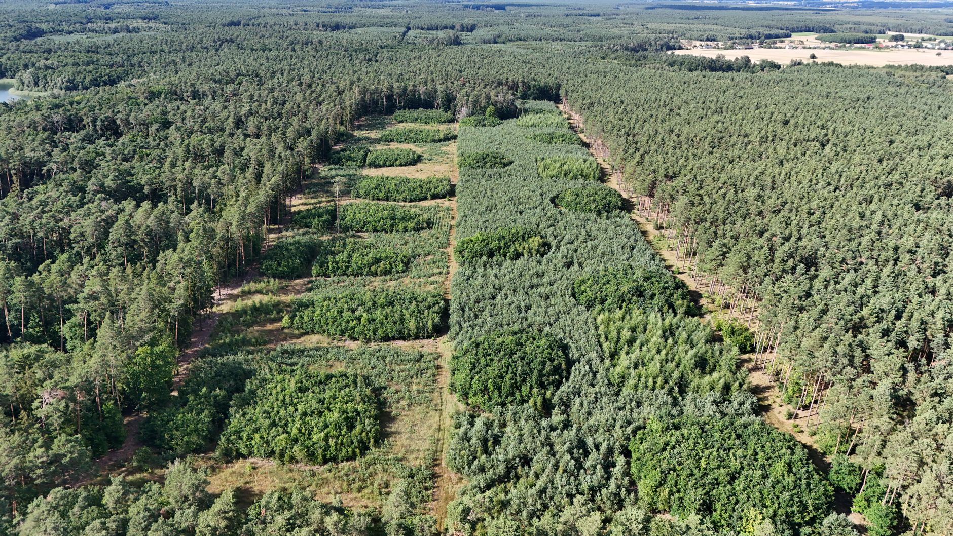 What's Going On With Acadian Timber Corp Stock Monday?
