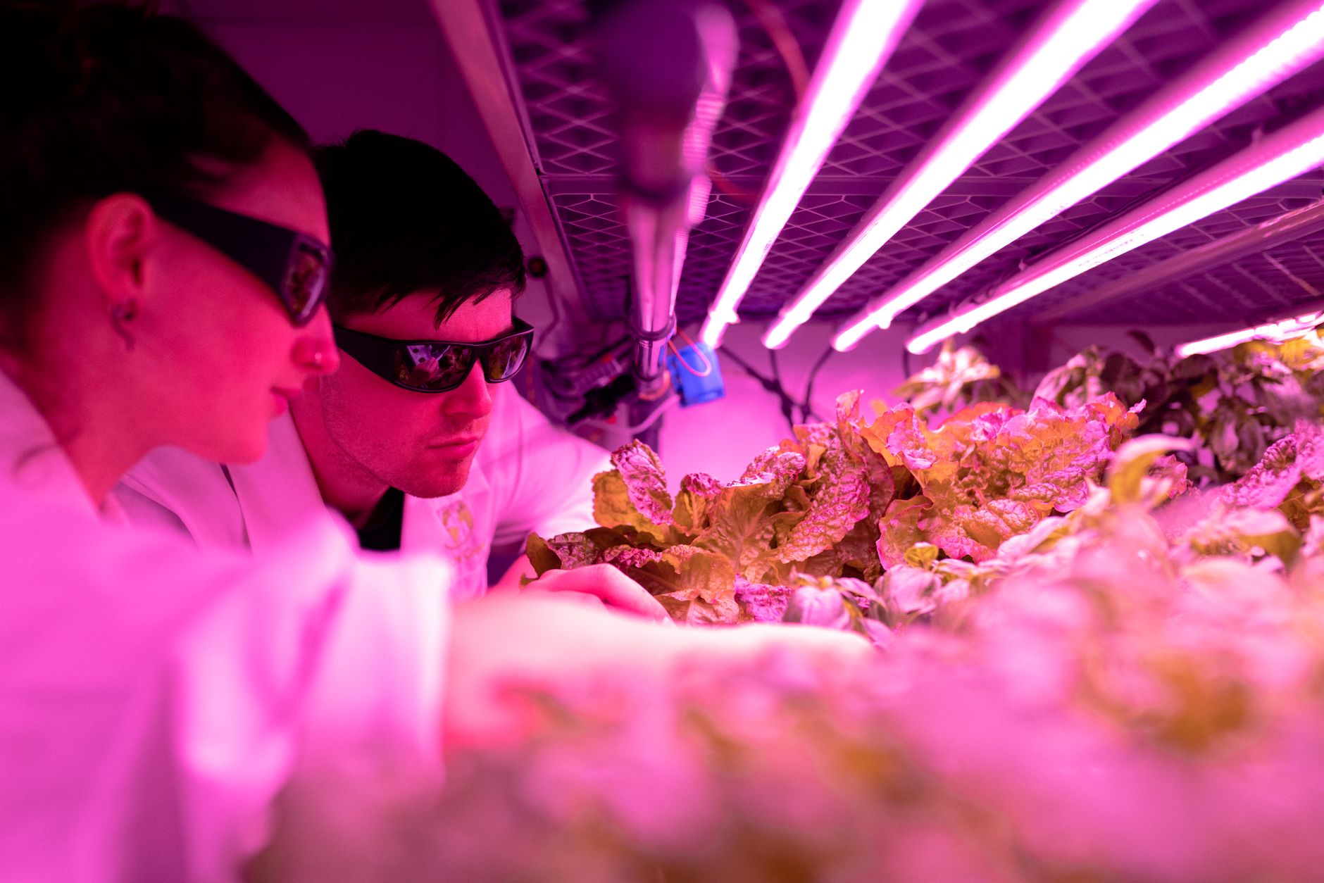 Why TrustBIX Inc stock is skyrocketing today