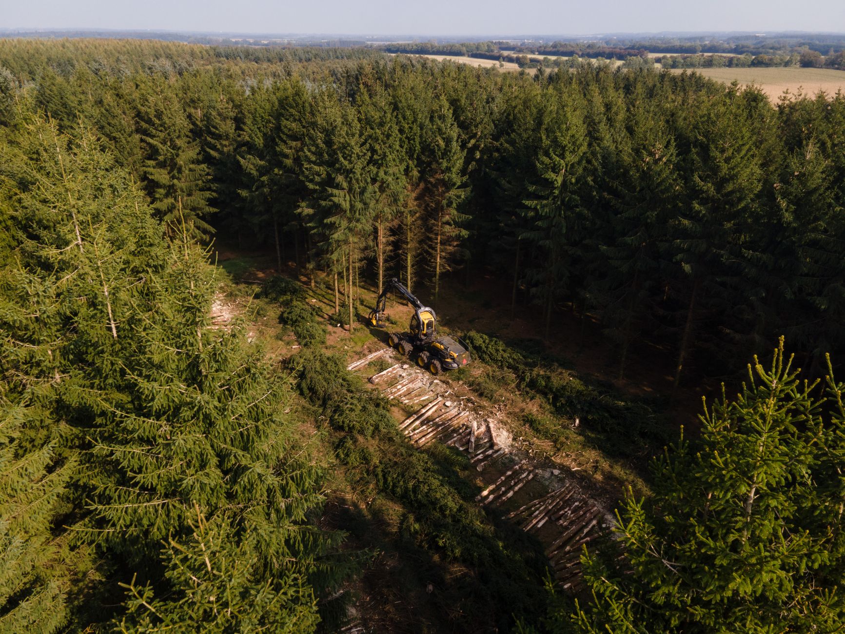 What's Going On With Acadian Timber Corp Stock Monday?