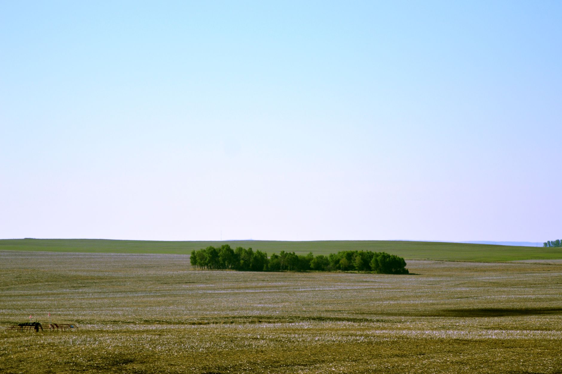 Will Tamarack Valley Energy Ltd (TVE) Beat Estimates Again in Its Next Earnings Report?