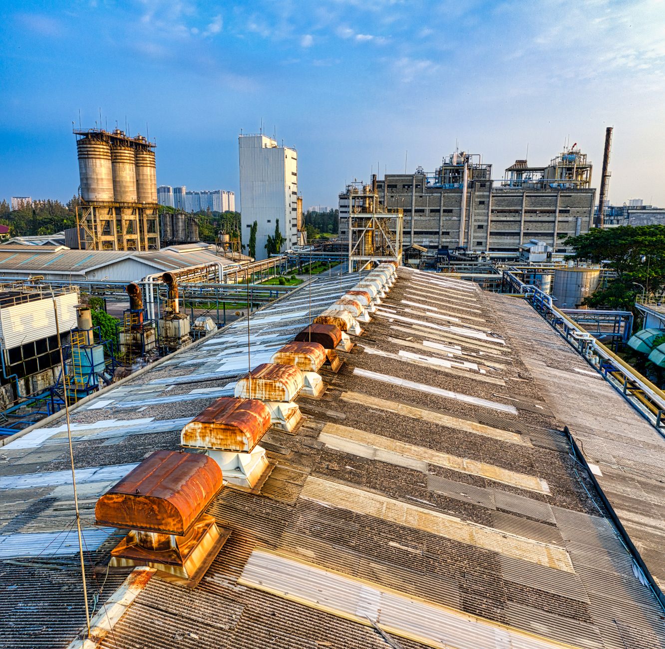 Why Tree Island Steel Ltd. stock plummeted yesterday