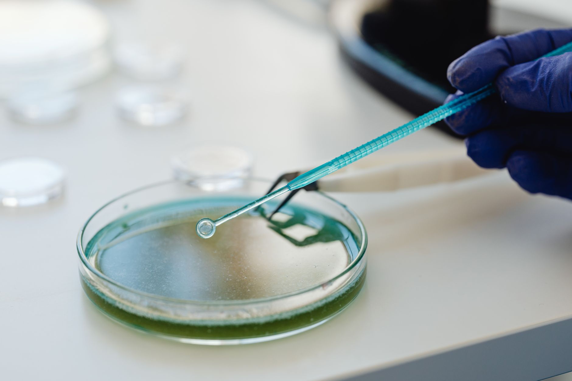 Why Appili Therapeutics Inc stock is plummeting today