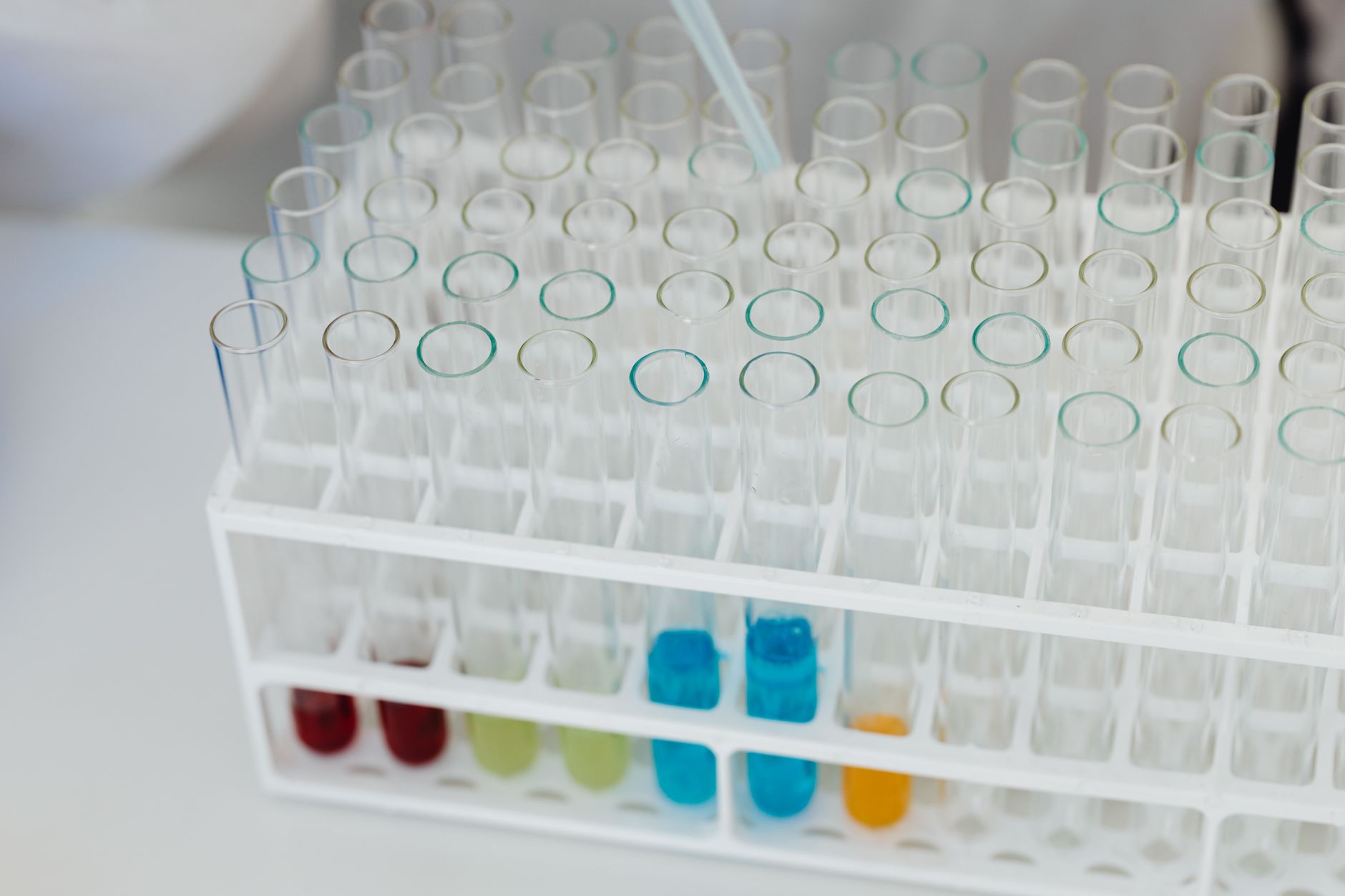 Will Bausch Health Companies Inc (BHC) Beat Estimates Again in Its Next Earnings Report?