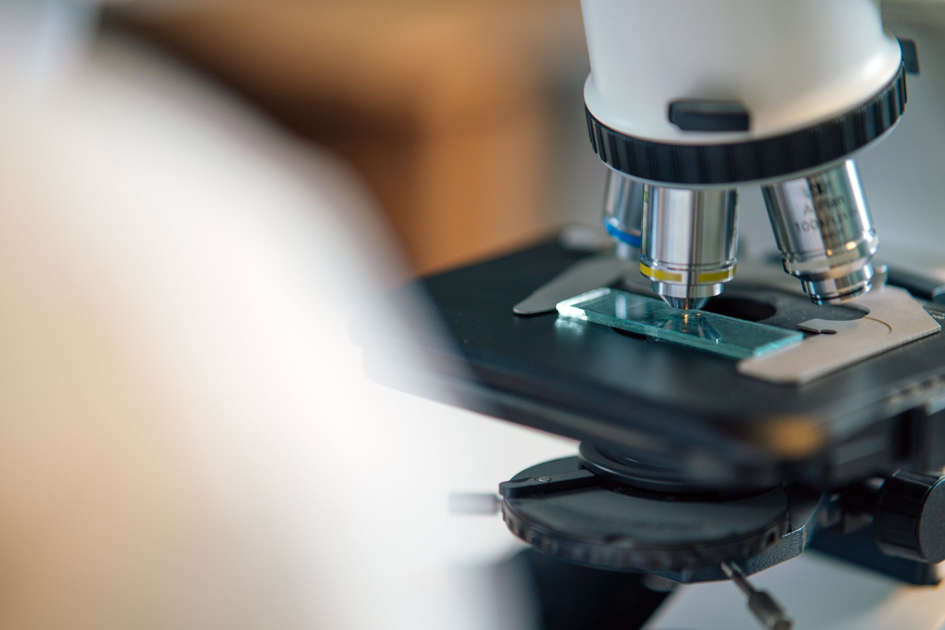 Why MustGrow Biologics Corp. stock is tanking today