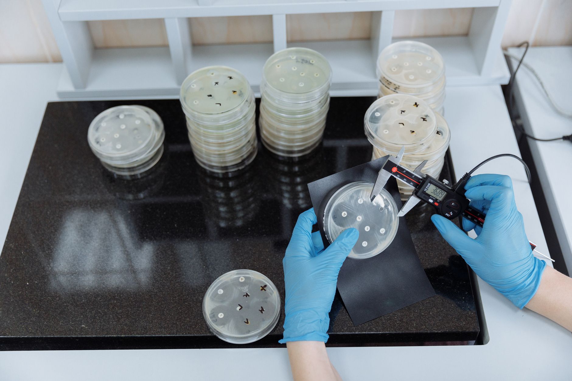 Why Amgen stock is tanking today